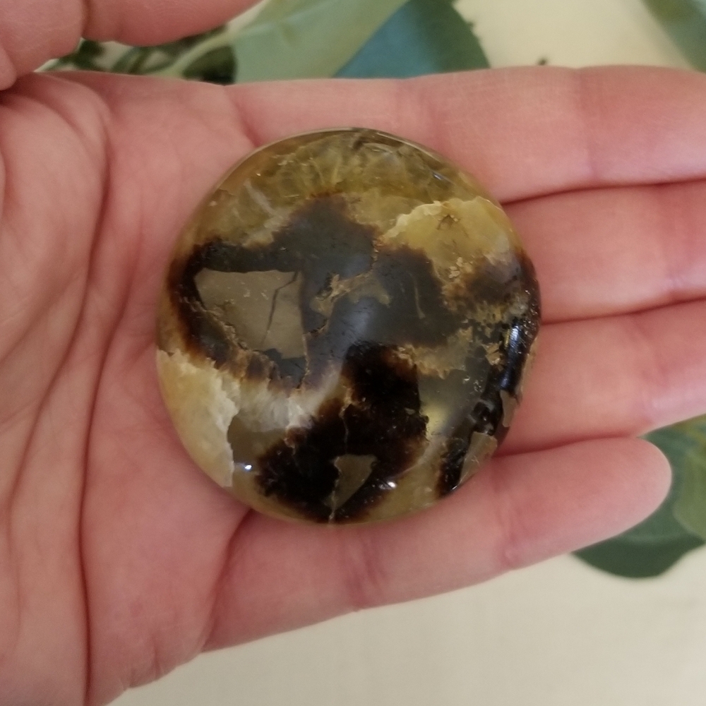 Septarian Nodule Palm Stone from Madagascar - Picture 3 of 4